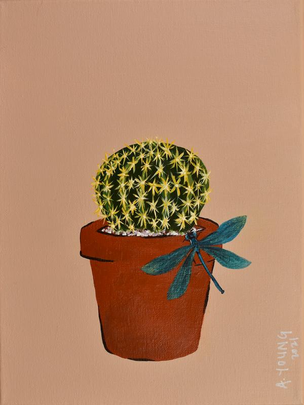 Golden Barrel | Cacti & Friends