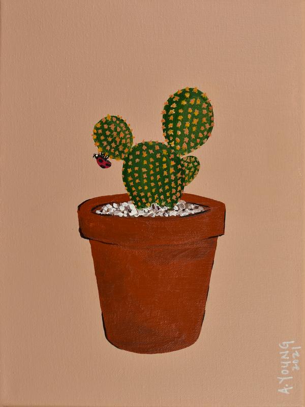 Bunny Ears | Cacti & Friends