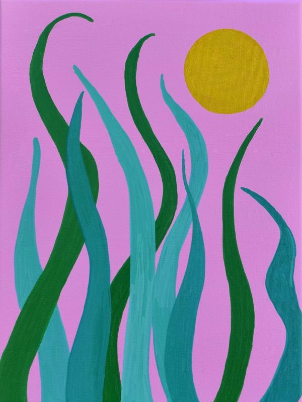Oasis