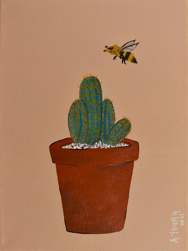 Blue Columnar | Cacti & Friends